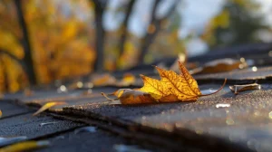 Seasonal Roofing Checklist